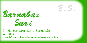barnabas suri business card