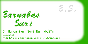 barnabas suri business card